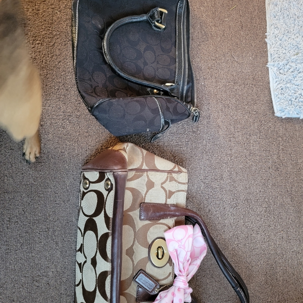 Coach purses